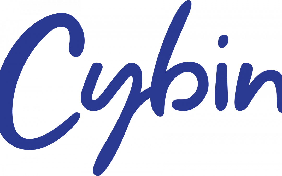 Cybin Investor Summary Note